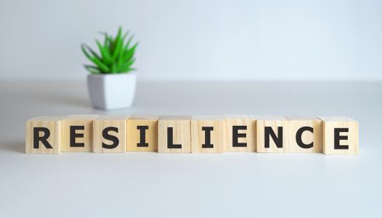 A number of letter blocks spelling the word resilience